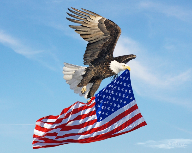 eagle_flying_american_flag_by_xybutterflyd4gbewp